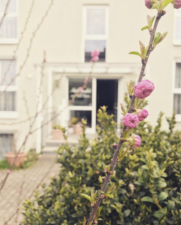 Hotel Gramlich Heddesheim Dış mekan fotoğraf